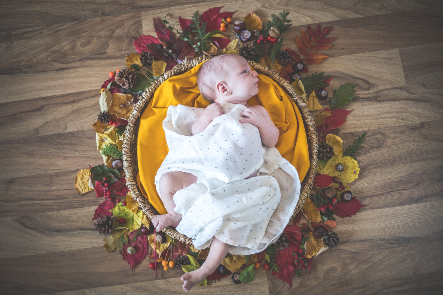 Ein Newbornshooting im kuscheligen zuhause... Ein Newbornshooting im kuscheligen zuhause...