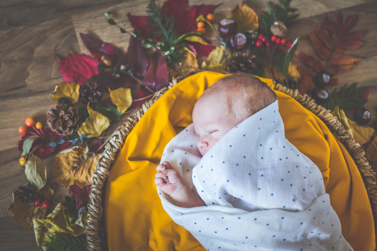 Ein Newbornshooting im kuscheligen zuhause... Ein Newbornshooting im kuscheligen zuhause...