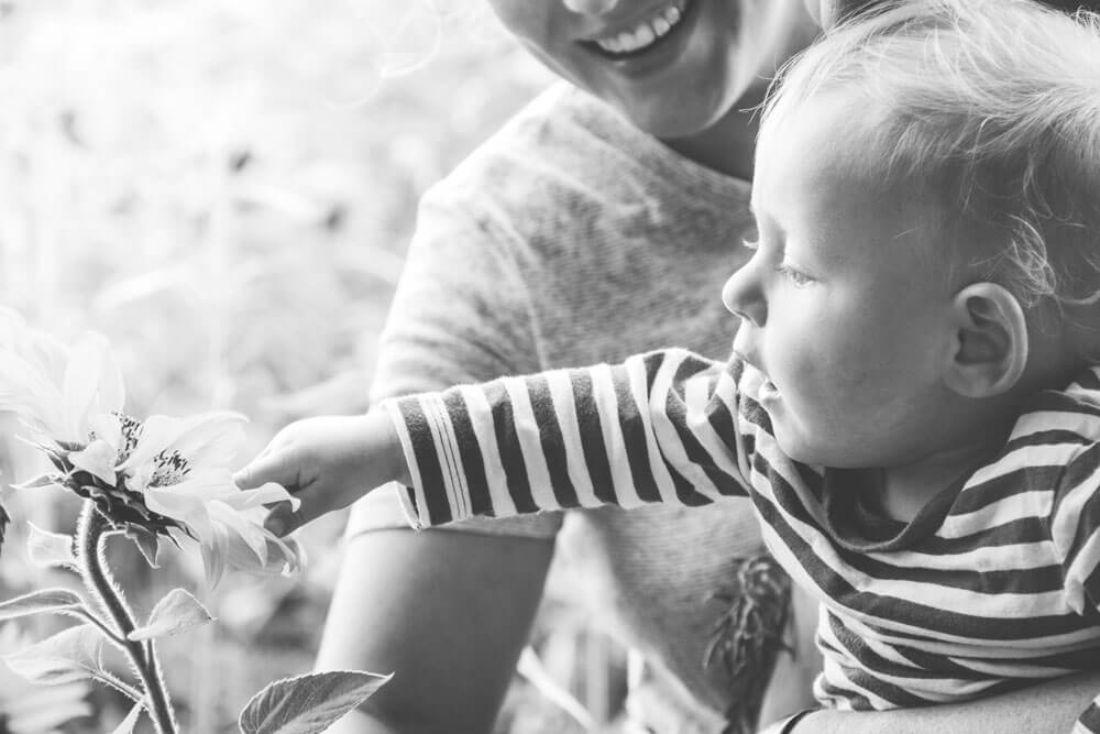 Familienfotoshooting unter Sonnenblumen